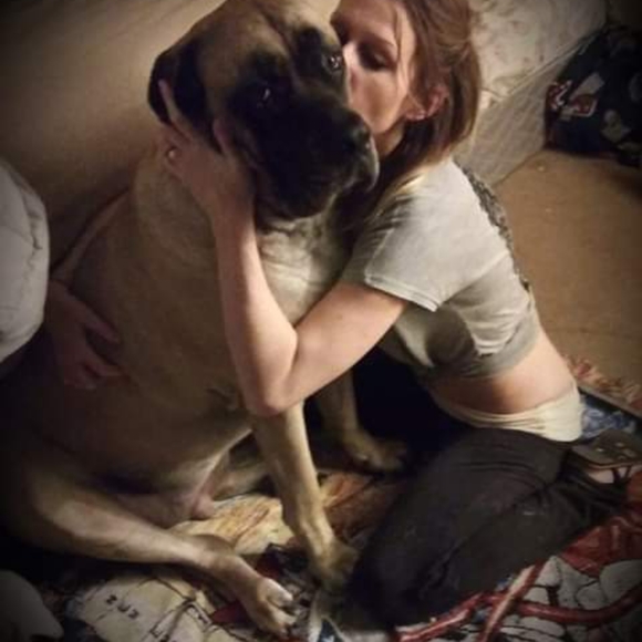 Meet your Posher, Harley - Picture 4 of 12